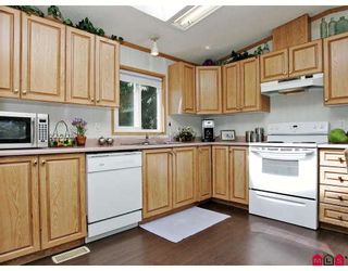 Photo 3: 16 9970 WILSON Street in Mission: Mission-West Manufactured Home for sale in "RUSKIN PARK" : MLS®# F2823125