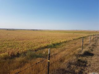 Photo 20: 1,360 Acres Willow Bunch (Beck & Thompson) in Willow Bunch: Farm for sale (Willow Bunch Rm No. 42)  : MLS®# SK923344