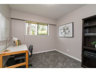 Photo 14: 4519 SOUTHRIDGE Crescent in Langley: Murrayville House for sale in "Murrayville" : MLS®# R2473798