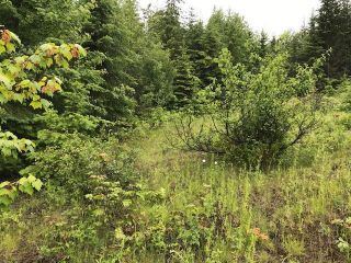 Photo 7: Lot 2 Cedar Drive in Blind Bay: Vacant Land for sale : MLS®# 10256384