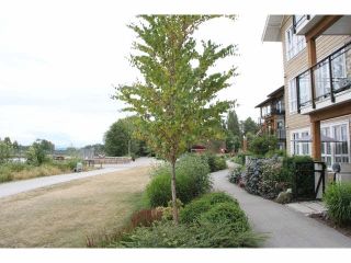 Photo 11: 105 23285 BILLY BROWN Road in Langley: Fort Langley Condo for sale in "Village at Bedford Landing" : MLS®# F1444612