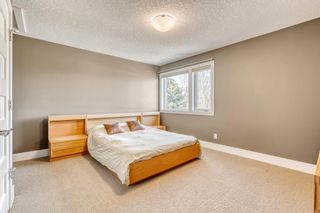 Photo 35: 522 28 Avenue NW in Calgary: Mount Pleasant Detached for sale : MLS®# A2047493