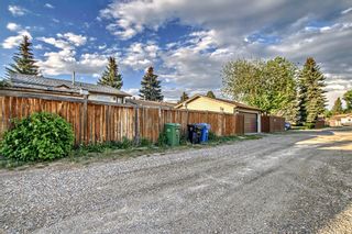 Photo 25: 135 Abadan Place NE in Calgary: Abbeydale Detached for sale : MLS®# A2052768