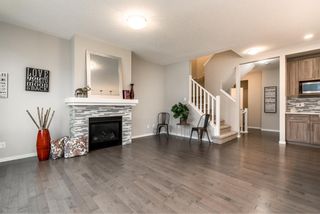 Photo 19: 495 Nolan Hill Drive NW in Calgary: Nolan Hill Detached for sale : MLS®# A2004931