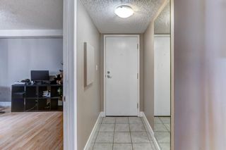 Photo 25: 4 927 19 Avenue SW in Calgary: Lower Mount Royal Apartment for sale : MLS®# A2054529