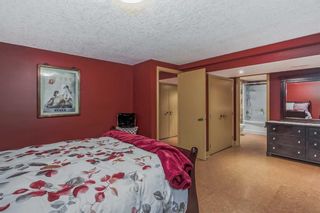 Photo 35: 4508 Dalhart Road NW in Calgary: Dalhousie Detached for sale : MLS®# A2101730