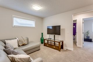 Photo 18: 159 Masters Street SE in Calgary: Mahogany Detached for sale : MLS®# A1214096