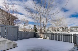 Photo 26: 44 12 Templewood Drive NE in Calgary: Temple Row/Townhouse for sale : MLS®# A1192583