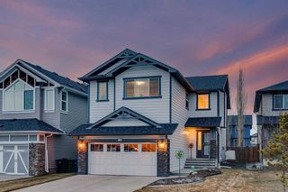 Photo 32: 39 Silverado Skies Manor SW in Calgary: Silverado Detached for sale : MLS®# A2122875