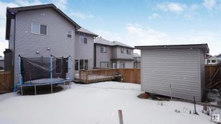 Photo 41: 2109 53 Street in Edmonton: Zone 53 House for sale : MLS®# E4328355