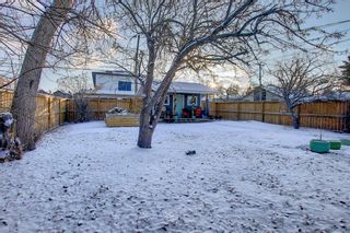 Photo 42: 2504 18 Street NW in Calgary: Capitol Hill Detached for sale : MLS®# A1176540