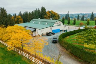 Photo 4: 5290 OLUND Road in Abbotsford: Bradner Agri-Business for sale in "Winery and Estate House" : MLS®# C8048539