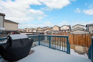 Photo 28: 33 Panora Hill NW in Calgary: Panorama Hills Detached for sale : MLS®# A2124569
