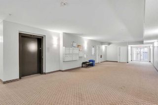 Photo 3: 304 117 19 Avenue NE in Calgary: Tuxedo Park Apartment for sale : MLS®# A2130812