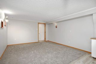 Photo 16: 4716 43 Avenue: Red Deer Detached for sale : MLS®# A1234597