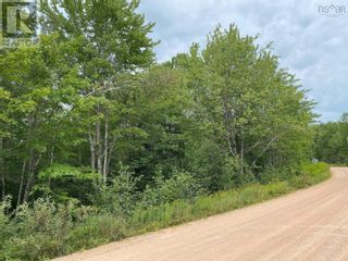 Photo 1: Lot A Hastings Road in Springfield: Vacant Land for sale : MLS®# 202313147