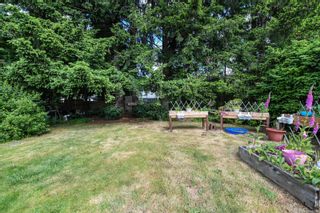 Photo 27: 1081 17th St in Courtenay: CV Courtenay City House for sale (Comox Valley)  : MLS®# 878514