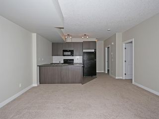 Photo 26: 140 300 Marina Drive: Chestermere Apartment for sale : MLS®# A1224918