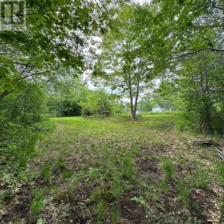 Photo 27: 15 Conquerall Road in Hebbs Cross: Vacant Land for sale : MLS®# 202310770