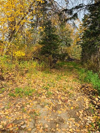 Photo 12: 0 Pineridge Drive in Canwood: Lot/Land for sale (Canwood Rm No. 494)  : MLS®# SK924387