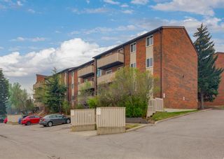 Main Photo: 512 11620 Elbow Drive SW in Calgary: Canyon Meadows Apartment for sale : MLS®# A2049184