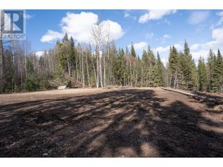Photo 11: 4812 CRANBROOK HILL ROAD in Prince George: Vacant Land for sale : MLS®# R2848151