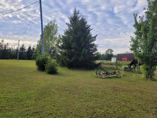 Photo 25: 1784 Toney River Road in Toney River: 108-Rural Pictou County Residential for sale (Northern Region)  : MLS®# 202219922