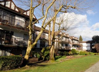 Photo 1: 215 131 W 4TH Street in North Vancouver: Lower Lonsdale Condo for sale in "Nottingham Place" : MLS®# R2692822