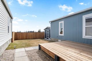 Photo 22: 146 Erin Woods Circle SE in Calgary: Erin Woods Detached for sale : MLS®# A2041536
