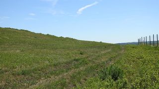 Photo 25: SW 36-20-2W5: Rural Foothills County Residential Land for sale : MLS®# A1231138