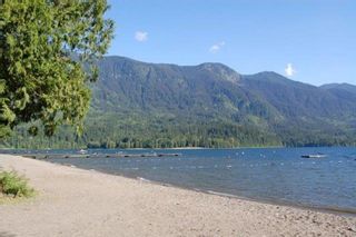 Photo 39: 1854 MOSSY GREEN Way in Lindell Beach: Cultus Lake South House for sale (Cultus Lake & Area)  : MLS®# R2834331