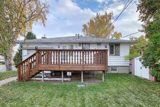 Photo 3: 2104 Victoria Crescent NW in Calgary: Banff Trail Detached for sale : MLS®# A1041397