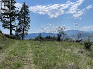 Photo 9: 443 MATHESON Road in Okanagan Falls: Vacant Land for sale : MLS®# 10306036