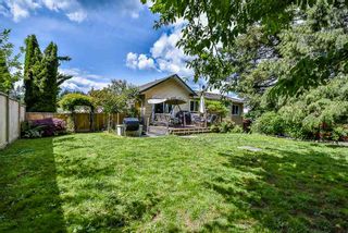 Photo 20: 8104 KNIGHT Avenue in Mission: Mission BC House for sale : MLS®# R2276970