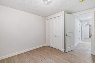Photo 33: 12 Templevale Gate NE in Calgary: Temple Detached for sale : MLS®# A2023278