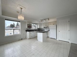 Photo 12: 201 4506 4 Street NW in Calgary: Highland Park Apartment for sale : MLS®# A2038082