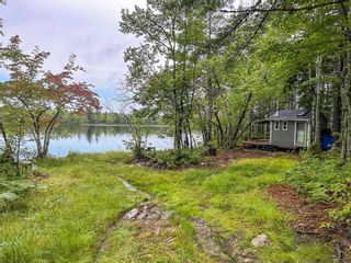 Photo 4: Lot 16 Medlee Lane in West Clifford: 405-Lunenburg County Residential for sale (South Shore)  : MLS®# 202315605