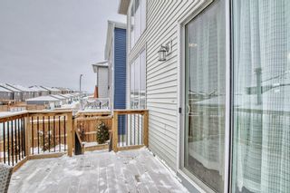 Photo 30: 16 Nolanhurst Heights NW in Calgary: Nolan Hill Detached for sale : MLS®# A2031375