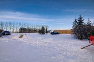 Photo 45: 10213 twshp rd 284A: Crossfield Detached for sale : MLS®# A1188532