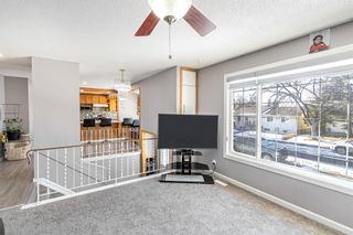 Photo 7: 316 Whiteview Road NE in Calgary: Whitehorn Detached for sale : MLS®# A2020273