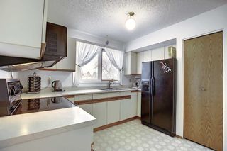 Photo 12: 3711 39 Street NE in Calgary: Whitehorn Detached for sale : MLS®# A1063183