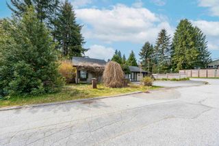 Photo 10: 908 GLENACRE Court in Port Moody: College Park PM Land Commercial for sale : MLS®# C8051205