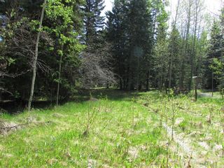 Photo 4: 127, 5241 TWP Rd 325A: Rural Mountain View County Land for sale : MLS®# C4299936