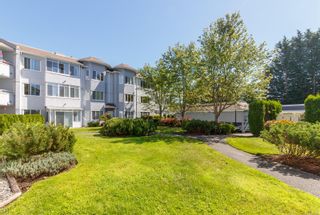 Photo 1: 209 3931 Shelbourne St in Saanich: SE Mt Tolmie Condo for sale (Saanich East)  : MLS®# 903130