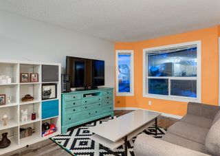 Photo 13: 203 APPLEBROOK Circle SE in Calgary: Applewood Park Detached for sale : MLS®# A1198432