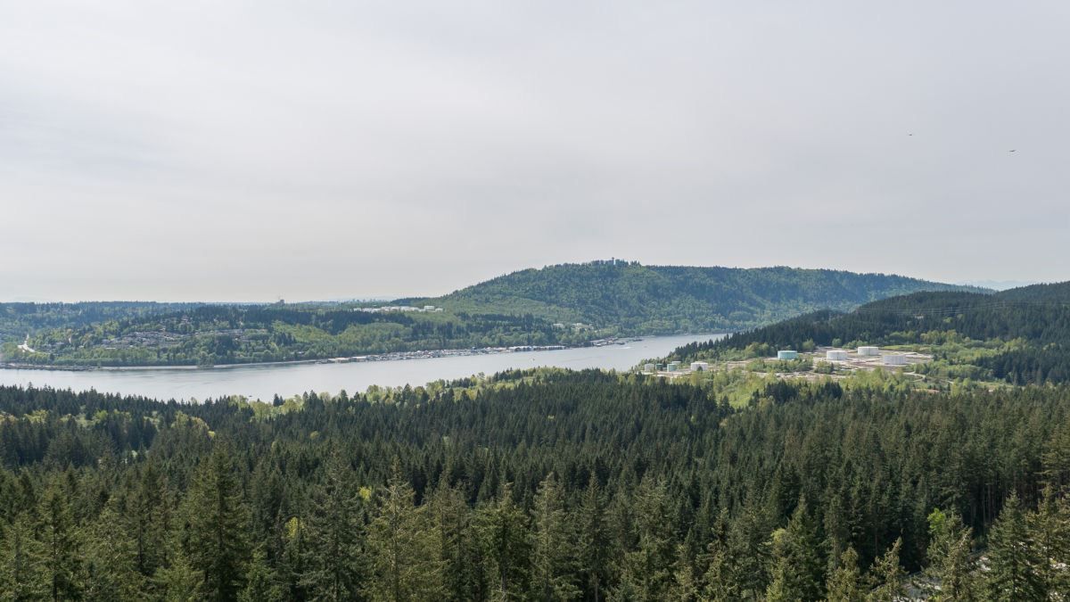 Main Photo: 1421 CRYSTAL CREEK Drive: Anmore Land for sale in "CRYSTAL CREEK" (Port Moody)  : MLS®# R2466977