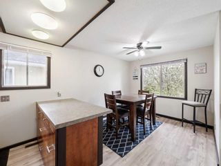 Photo 15: 395 Cantrell Drive SW in Calgary: Canyon Meadows Detached for sale : MLS®# A2133873