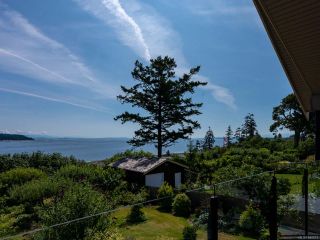 Photo 63: 321 Carnegie St in CAMPBELL RIVER: CR Campbell River Central House for sale (Campbell River)  : MLS®# 840213