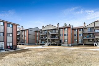 Photo 29: 3308 13045 6 Street SW in Calgary: Canyon Meadows Apartment for sale : MLS®# A2022790
