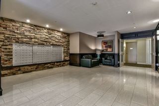 Photo 2: 414 8067 207 Street in Langley: Willoughby Heights Condo for sale in "Yorkson Creek Parkside One" : MLS®# R2214873